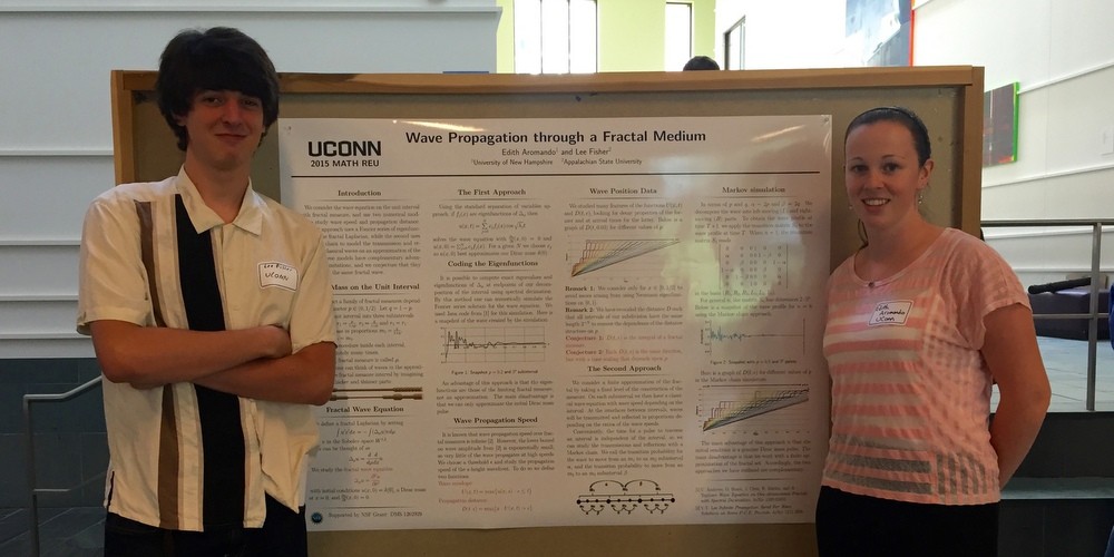 Poster - Wave Propagation through a Fractal Medium